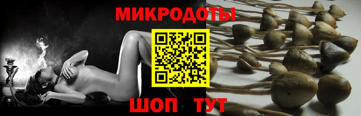 где найти   Вход с VPN  Галлюциногенные грибы Psilocybe  Белогорск  Псилоцибиновые грибы мухоморы 